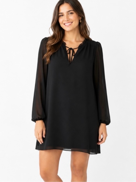 Wilfred Dresses & Skirts - WILFRED Black Long-Sleeve Tie Neck Chiffon Shift Mini Dress Sz. XL Aritzia